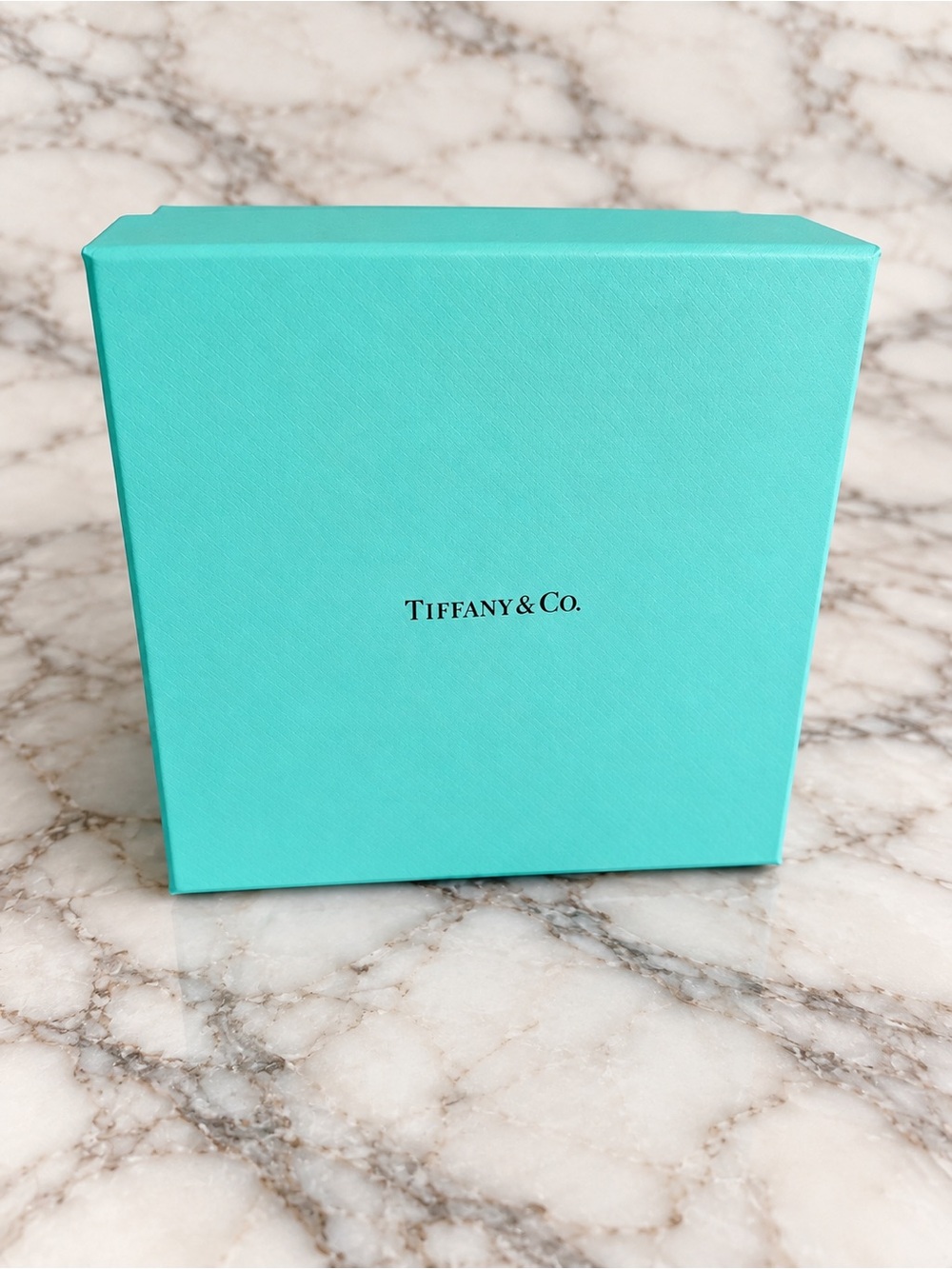 Tiffany & Co. Signature Blue Gift Box -